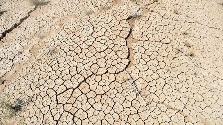 A shrunken reservoir ringed by cracked mud, seen from directly above